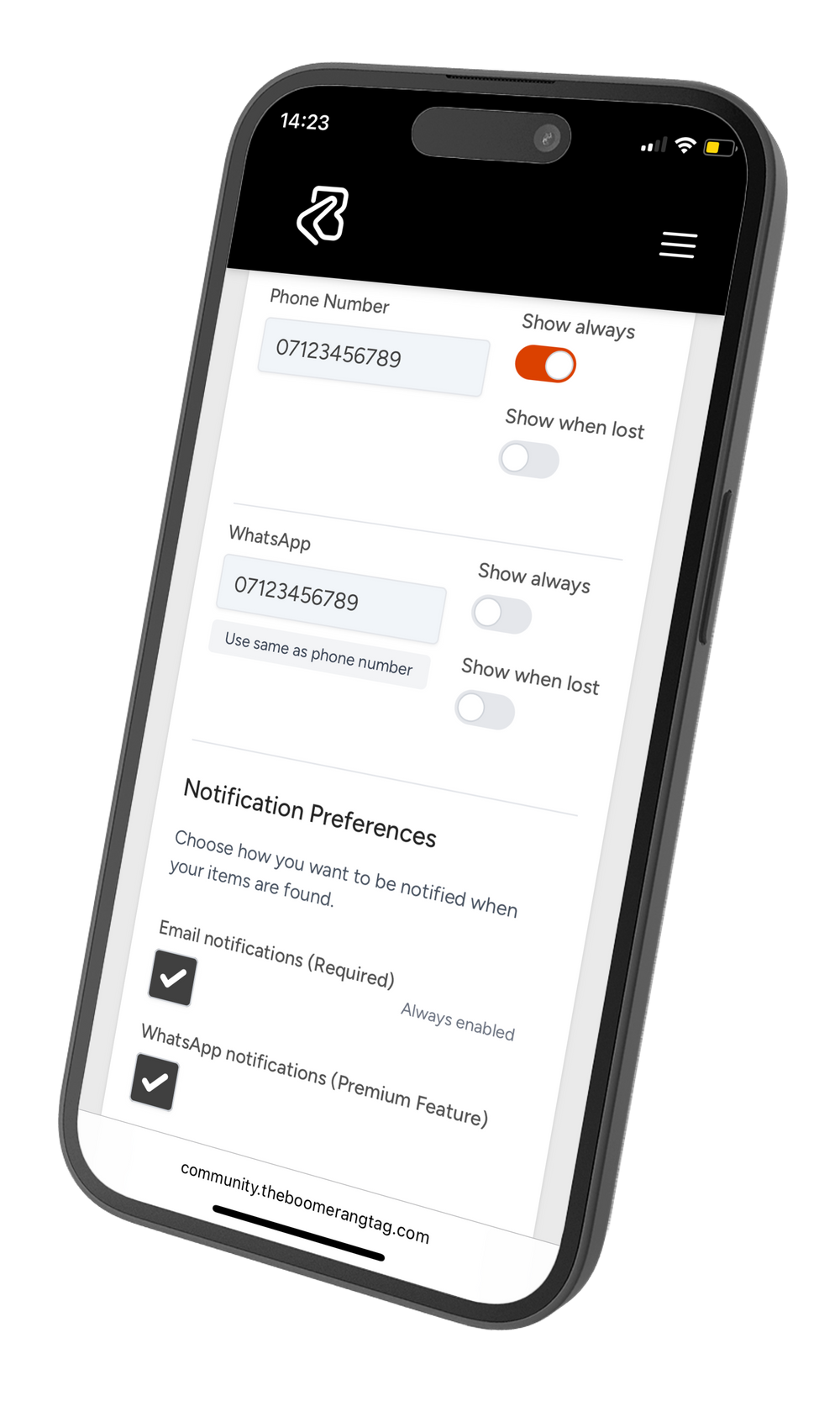 <h2>Boomerang set up is easy</h2>